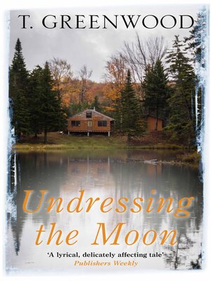cover image of Undressing the Moon